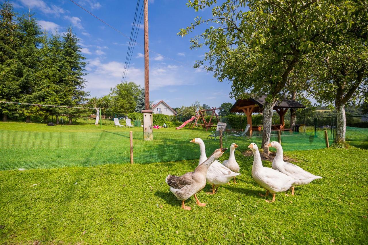 Bieszczadzki Krakowiak 575-894-584 Lub 535-595-732 Villa Polanczyk Bagian luar foto